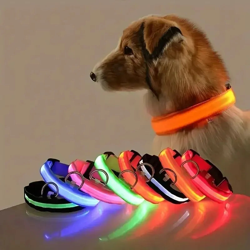 Premium LED Dog Collar - Night Safety & Visibility