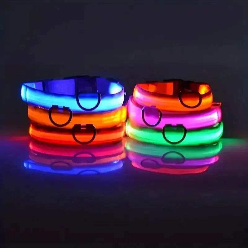 Premium LED Dog Collar - Night Safety & Visibility