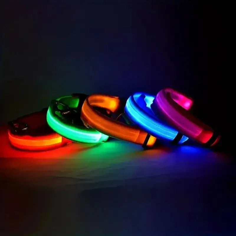 Premium LED Dog Collar - Night Safety & Visibility