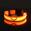 Premium LED Dog Collar - Night Safety & Visibility